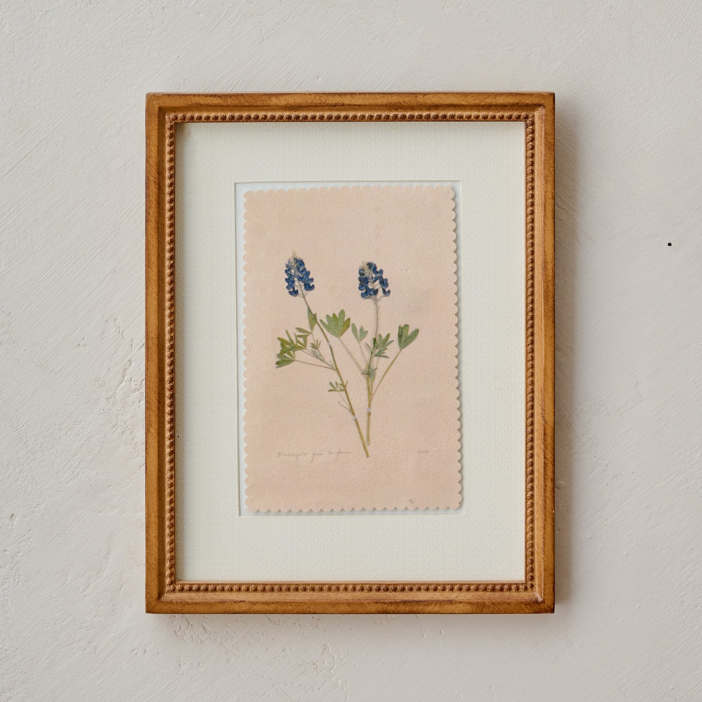 "Bluebonnets from the Farm" Jo's Framed Herbarium Print