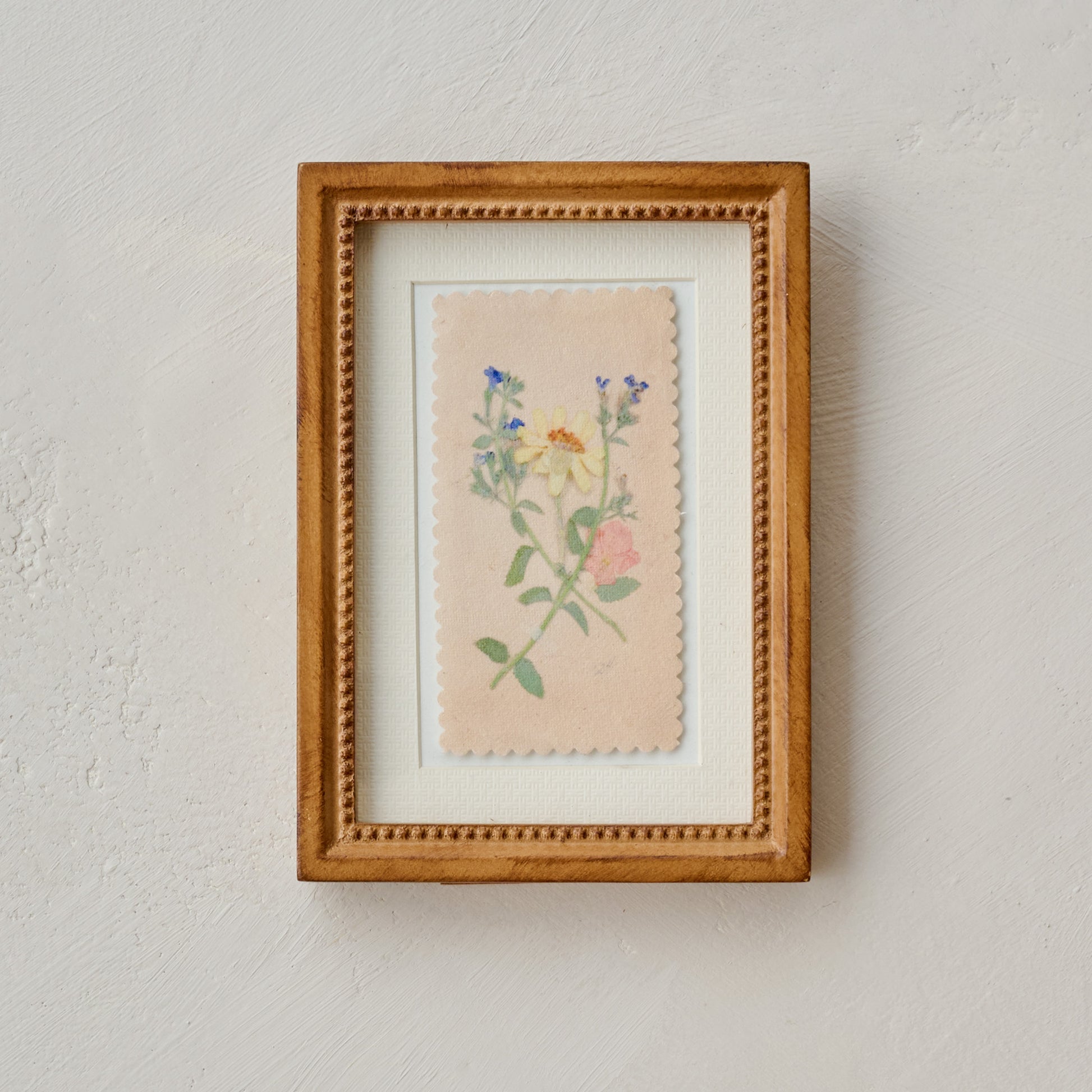 "Collected Spring" Jo's Framed Herbarium Print