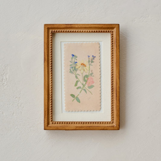 "Collected Spring" Jo's Framed Herbarium Print