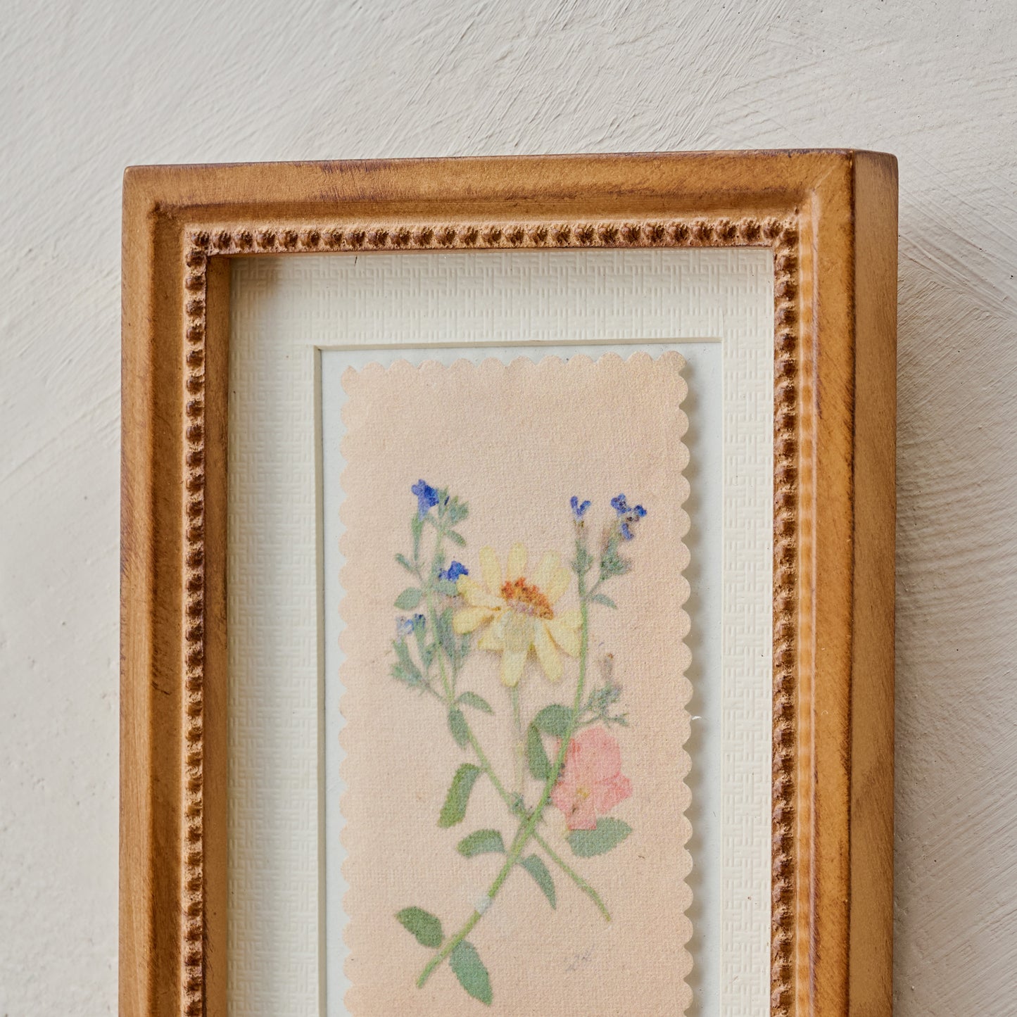 "Collected Spring" Jo's Framed Herbarium Print close up view