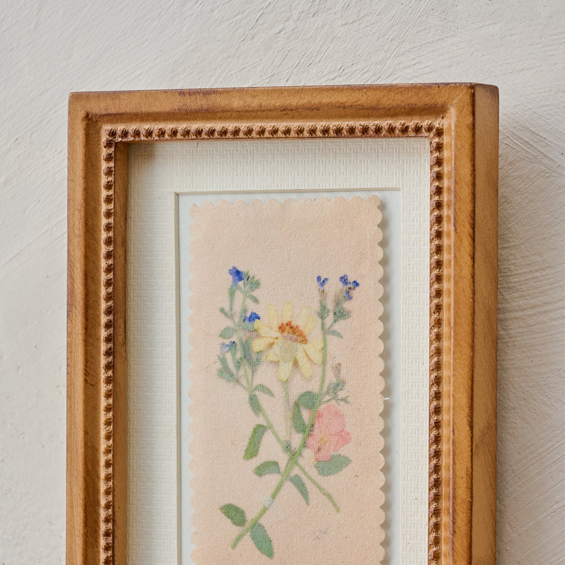 "Collected Spring" Jo's Framed Herbarium Print close up view