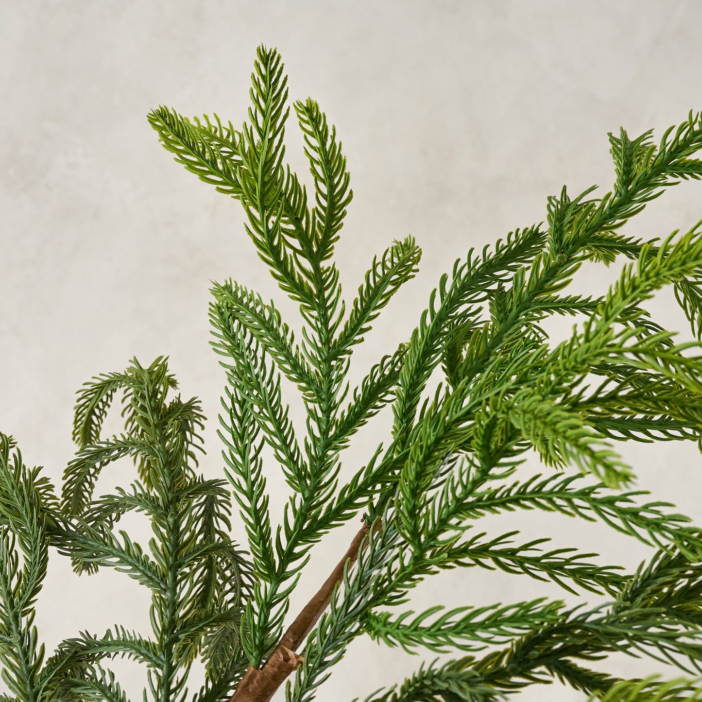 Real Touch Norfolk Pine Spray close up