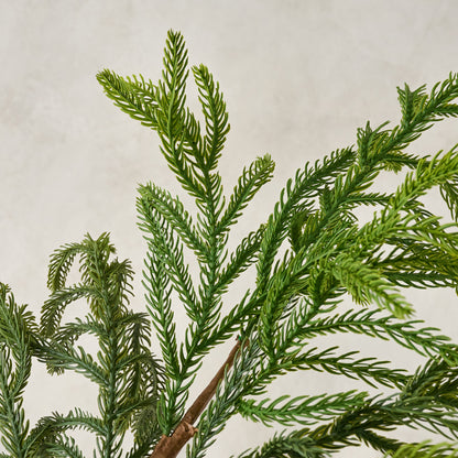 Real Touch Norfolk Pine Spray close up