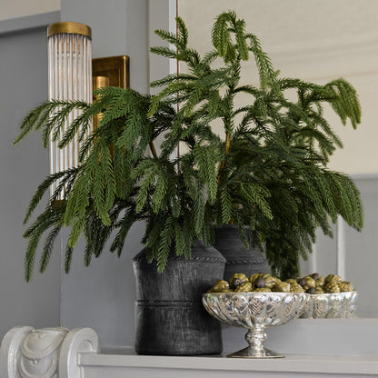 Real Touch Norfolk Pine Spray shown in vase
