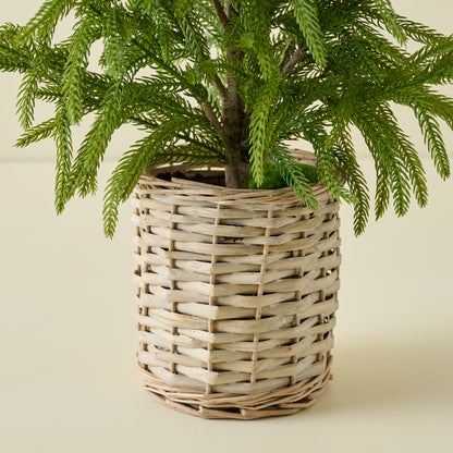 Real Touch Norfolk Pine Potted Tree base of tree