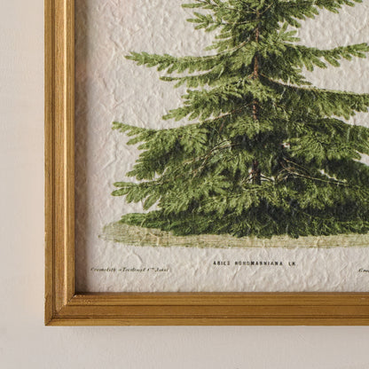 Vintage Christmas Fir Print up close