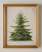 Vintage Christmas Fir Print