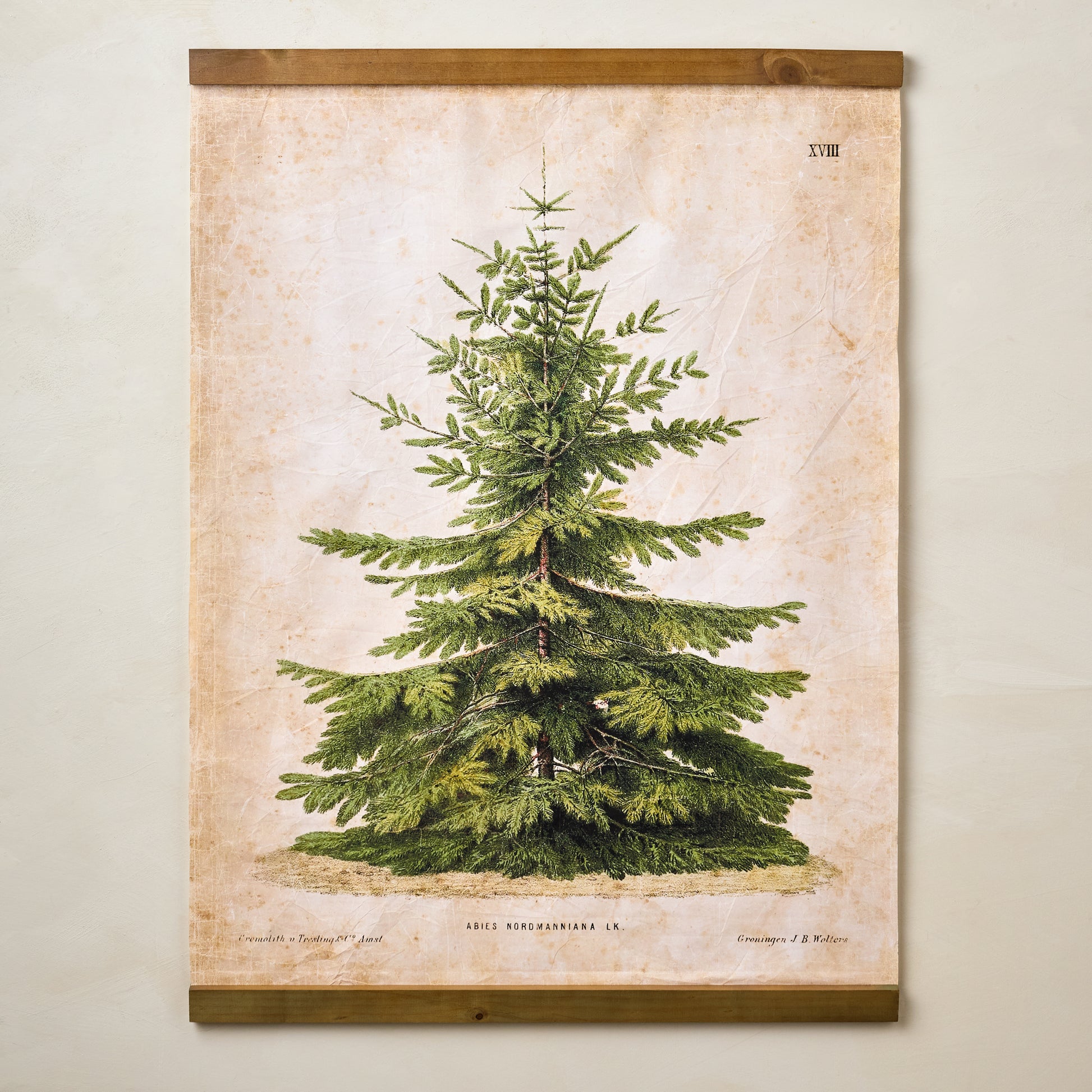 Vintage Christmas Fir Tapestry
