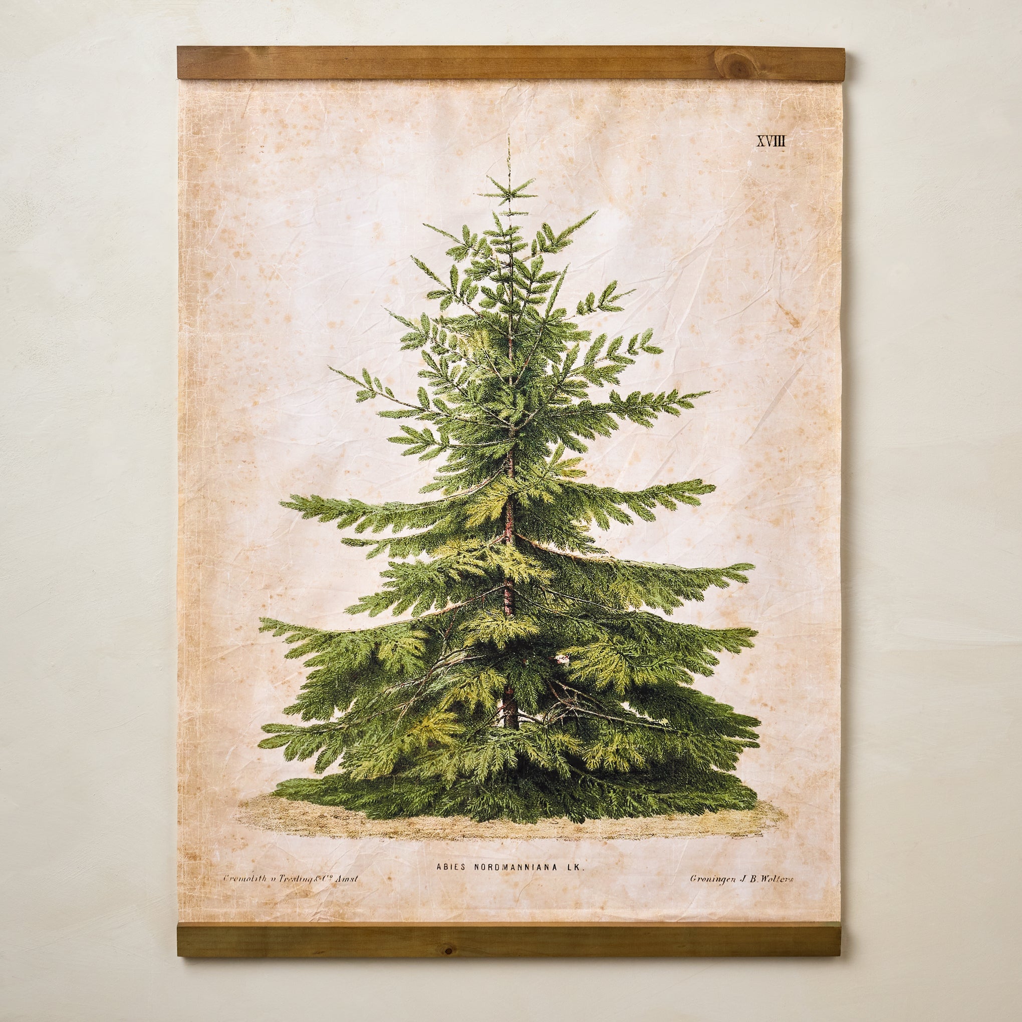 Vintage Christmas Fir Tapestry