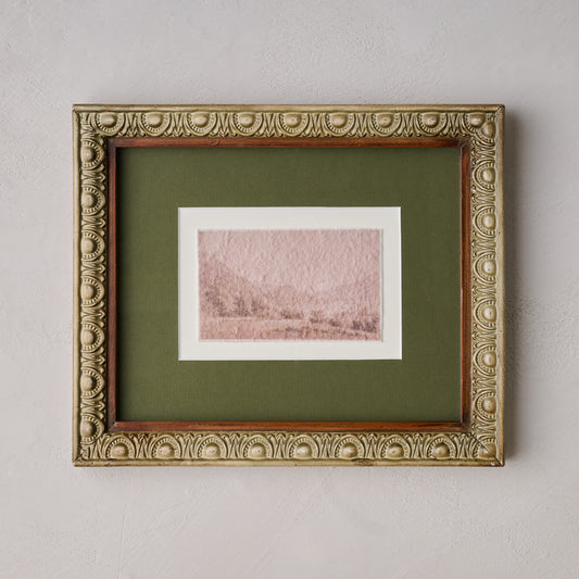 Evergreen Echoes Framed Print