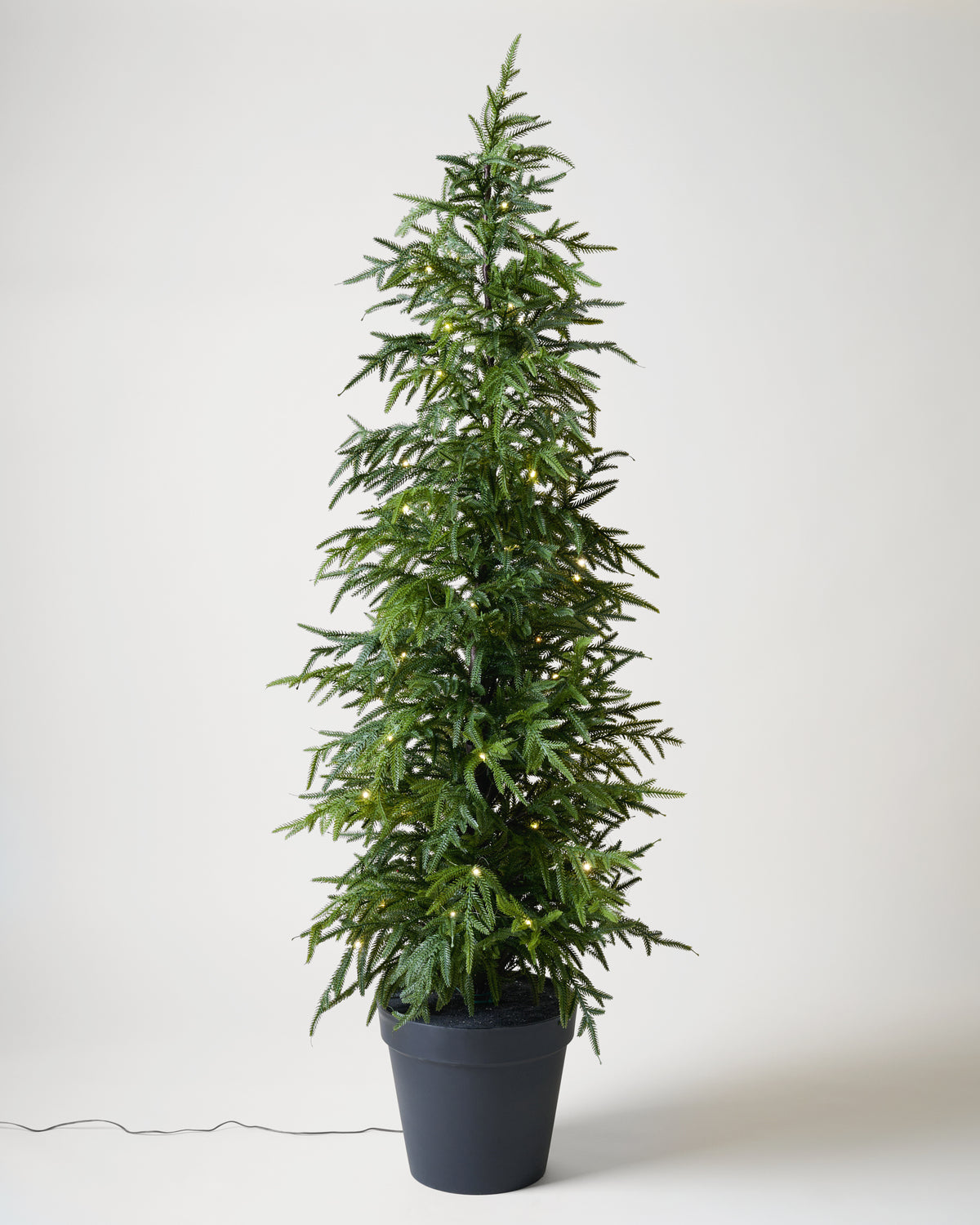 Real Touch Norfolk Pine Pre-Lit Potted Tree turned on