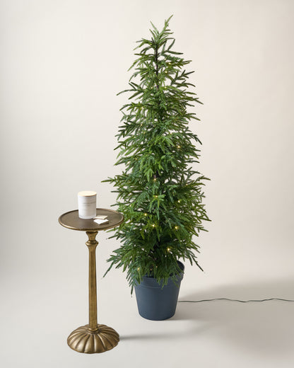 Real Touch Norfolk Pine Pre-Lit Potted Tree with a side table for scale