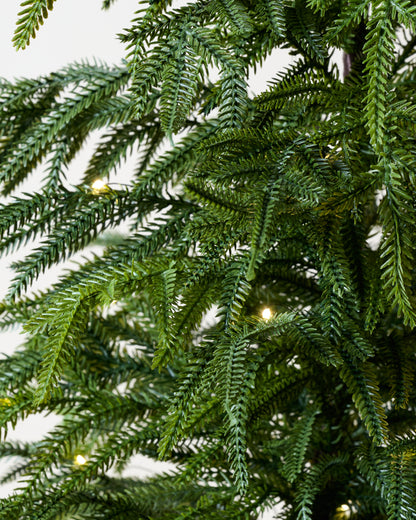 Real Touch Norfolk Pine Pre-Lit Potted Tree close up