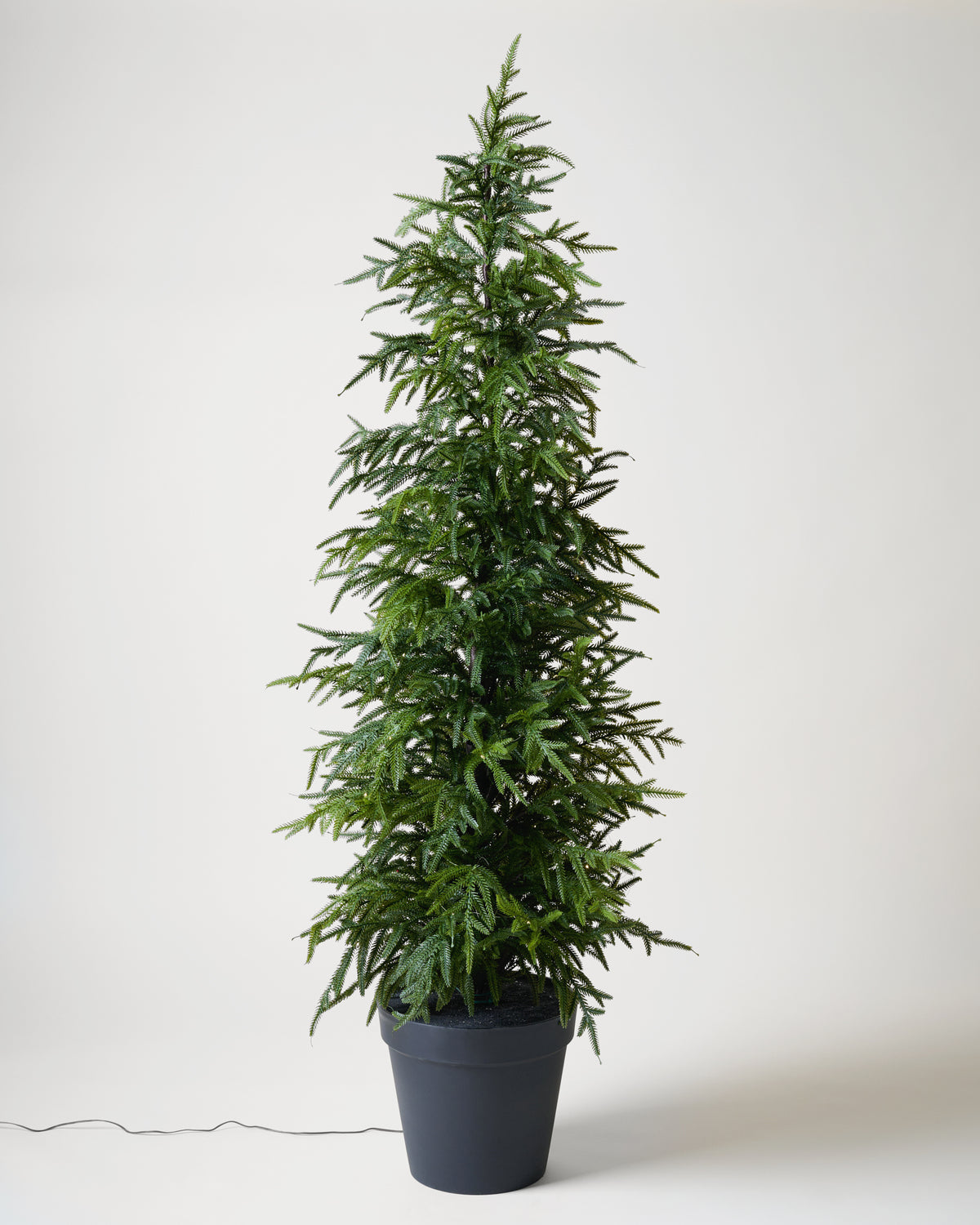 Real Touch Norfolk Pine Pre-Lit Potted Tree light off