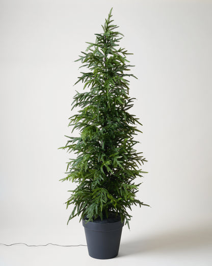 Real Touch Norfolk Pine Pre-Lit Potted Tree light off