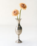 Gerber Daisy in tulip vase