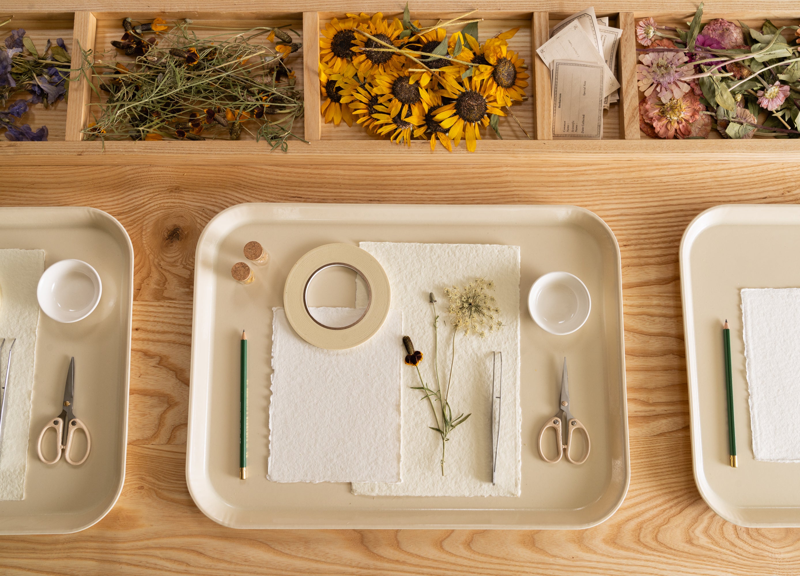 A cream-colored tray filled with craft supplies to create an herbarium print.