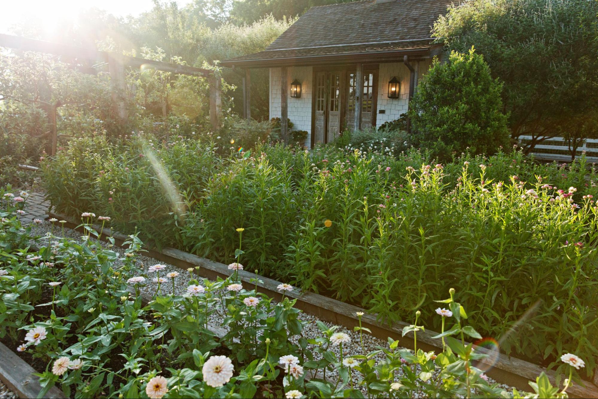From the Journal: A Tour of Jo's Garden.  Read the Blog.