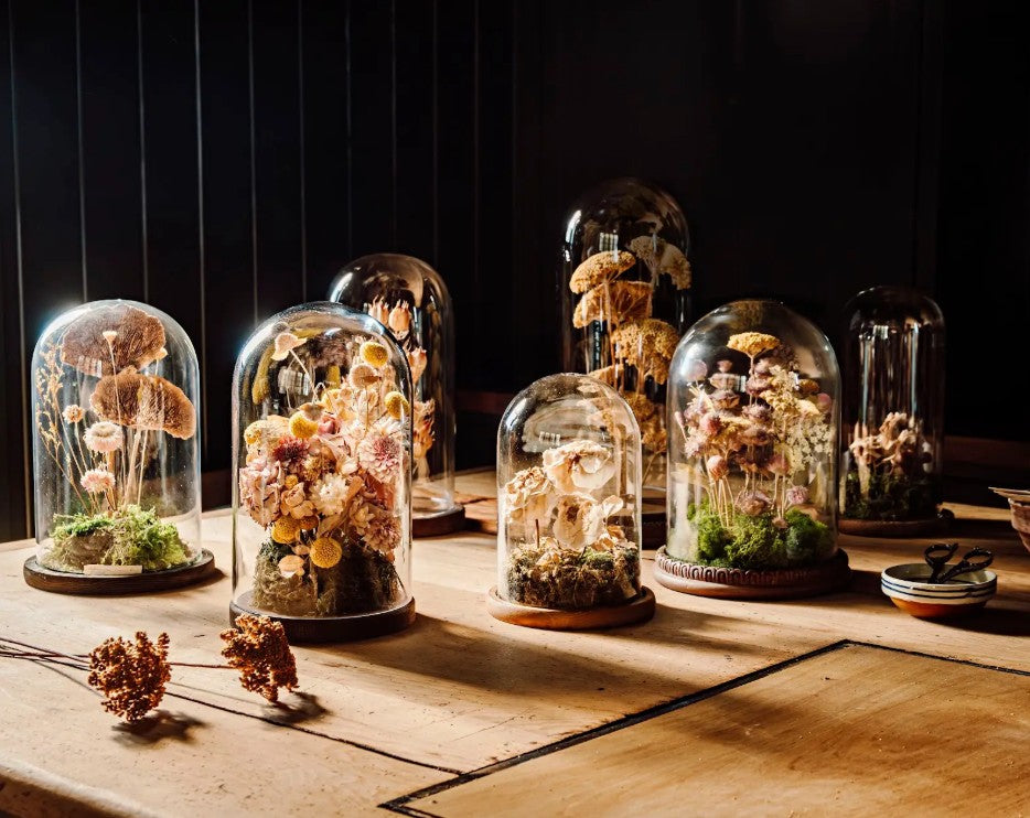 A collection of glass cloches displaying dried and preserved mushrooms and botanical specimens, arranged on a rustic wooden table against a dark paneled background.