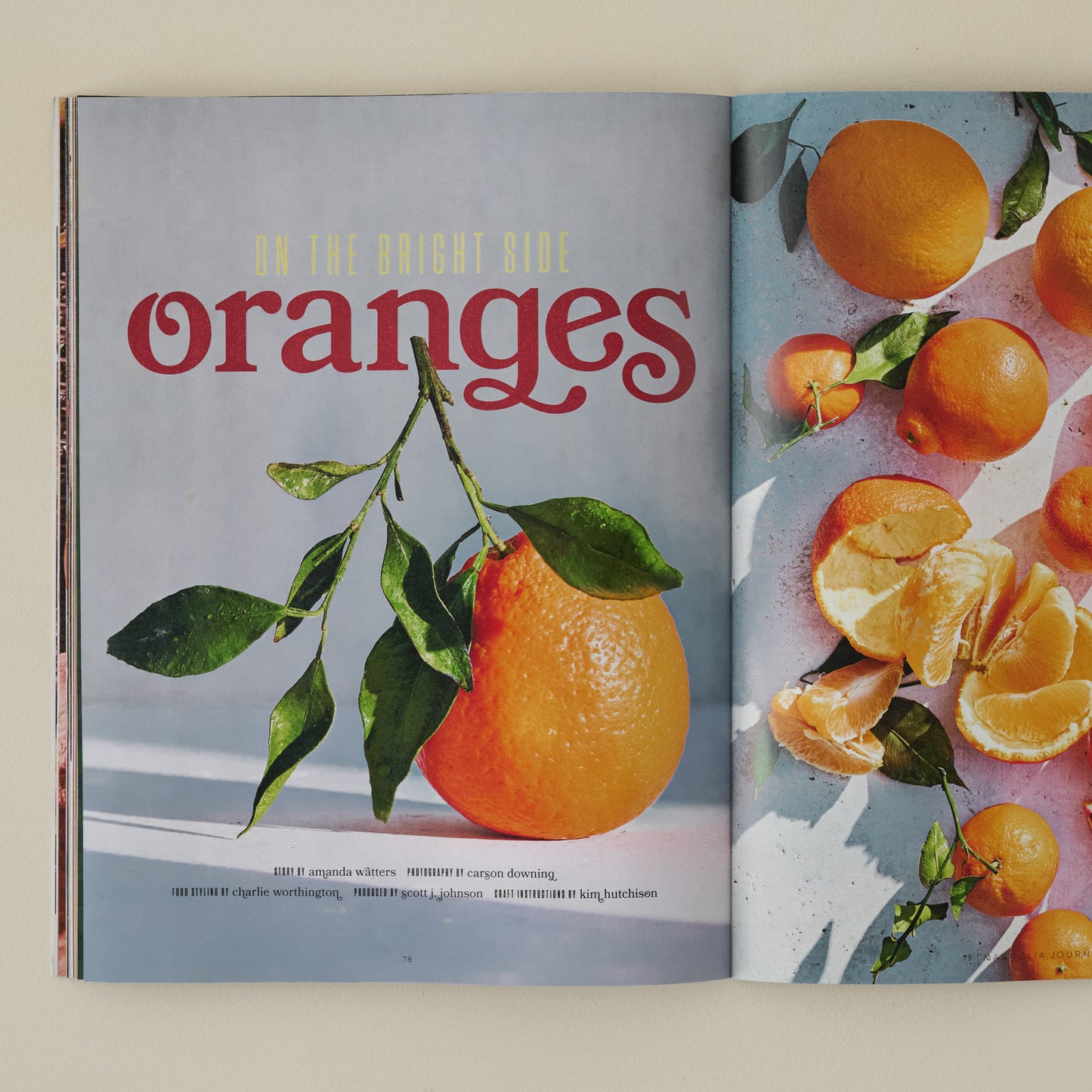 Magnolia Winter 2025 Journal photo captured of stemmed orange with copy 'on the bright side oranges'
