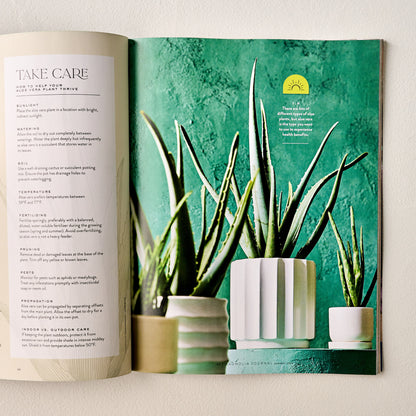 Magnolia Journal Summer 2024