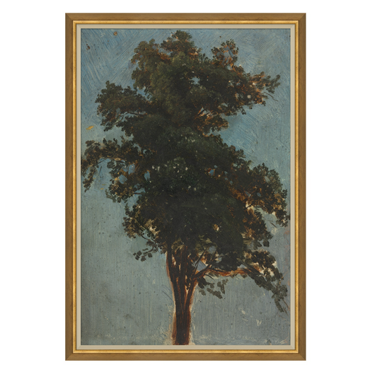 Tree Top
