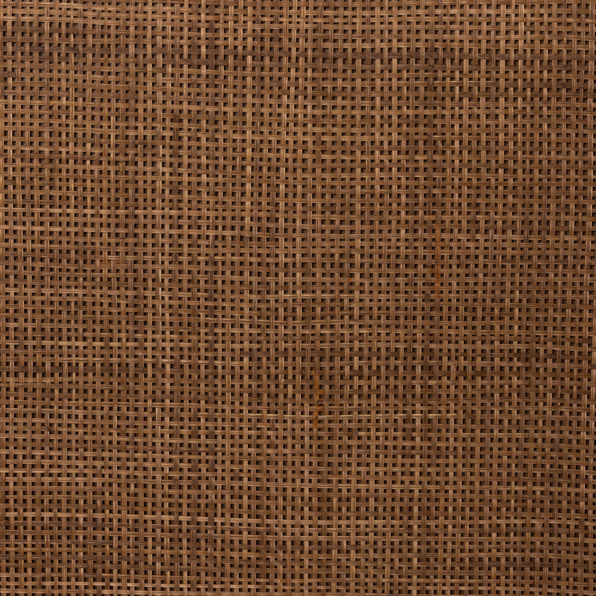 Palmer Bed