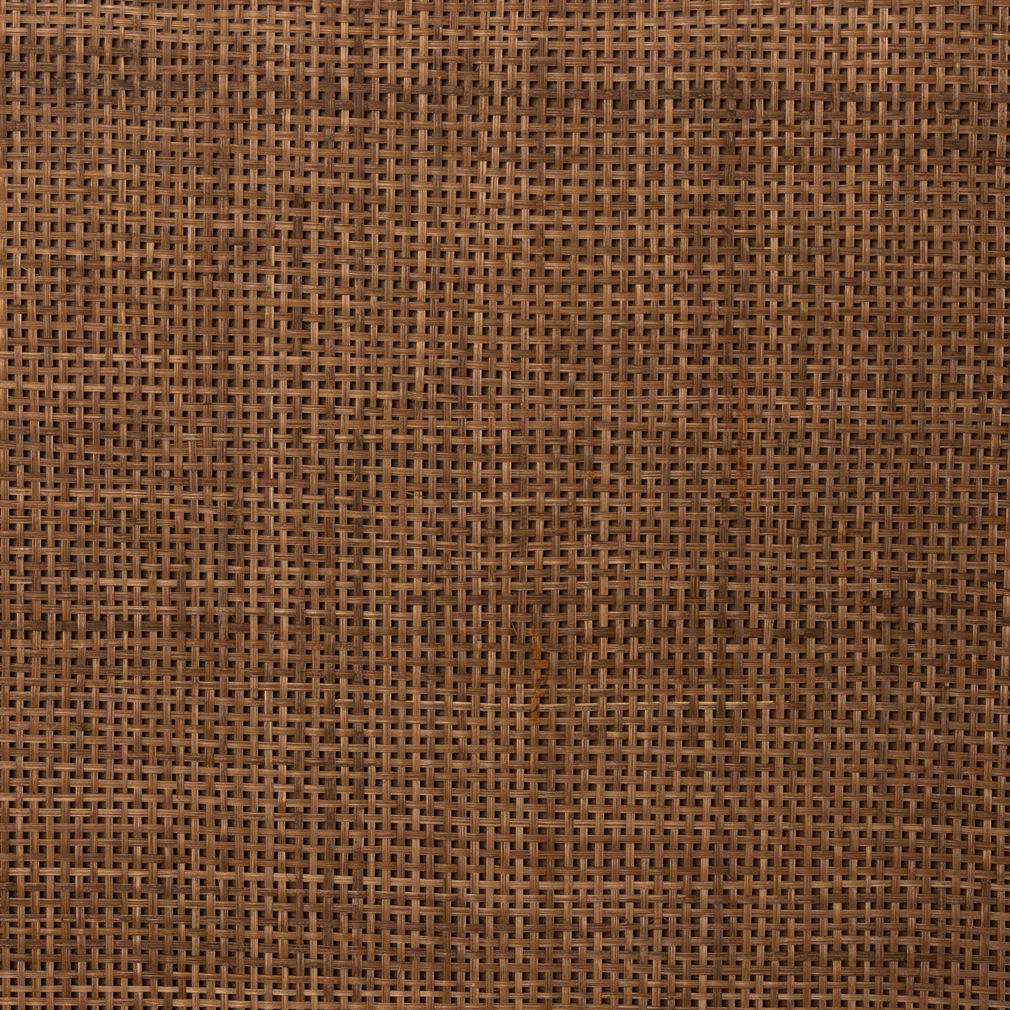 Palmer Bed