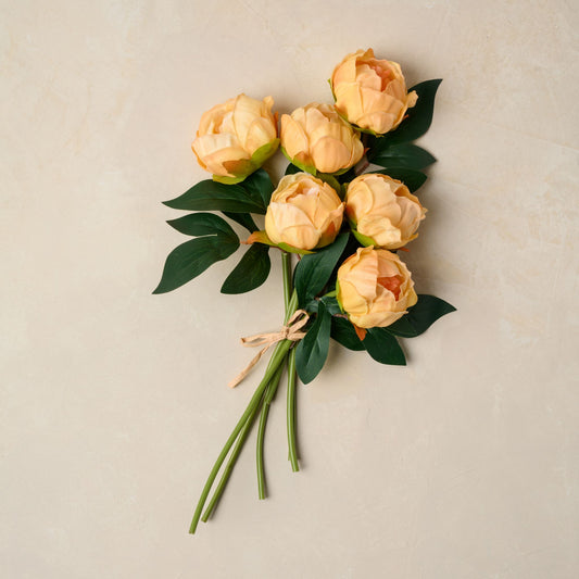 Peony Bundle in peach tied together with string