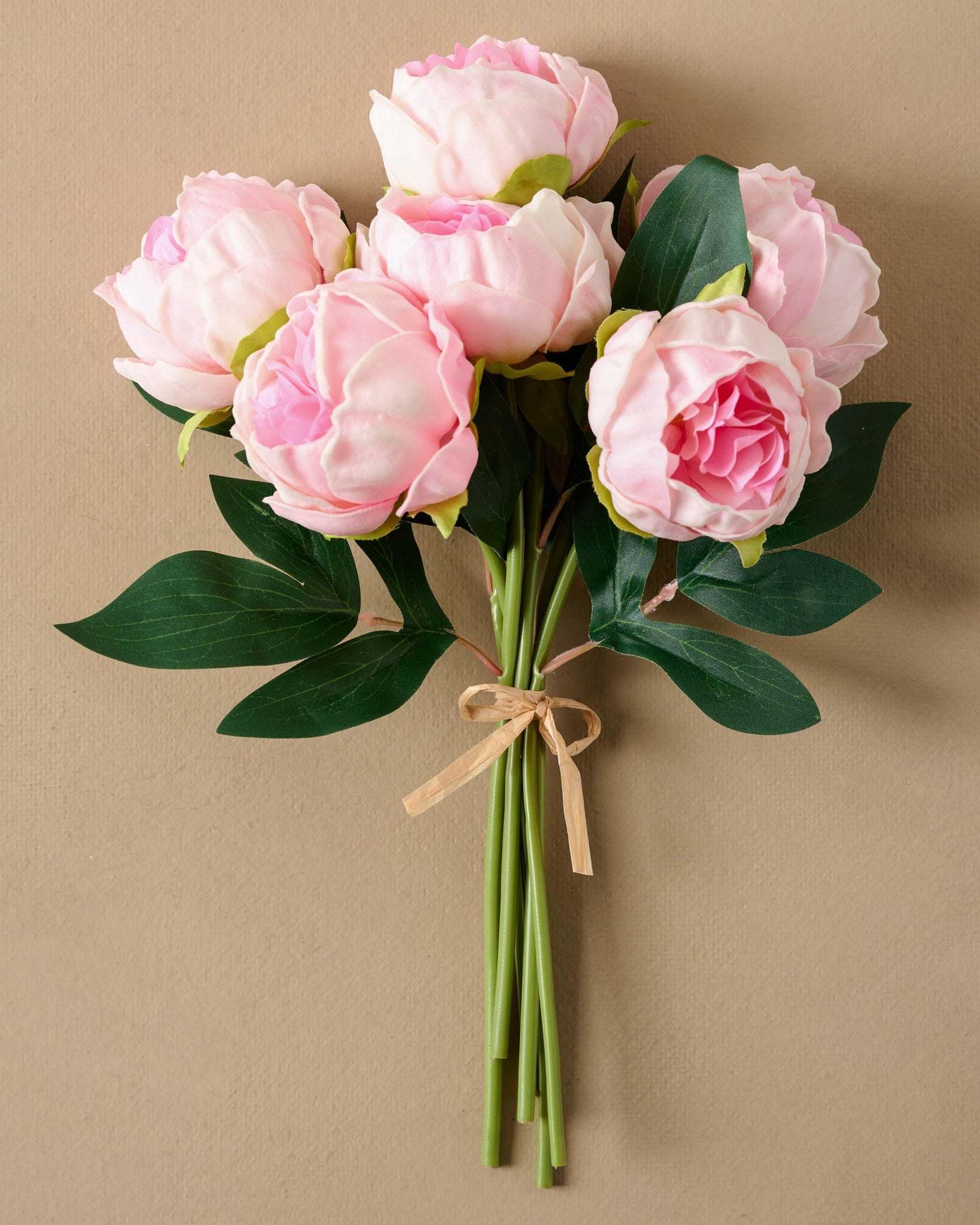 Pink Peony Bundle