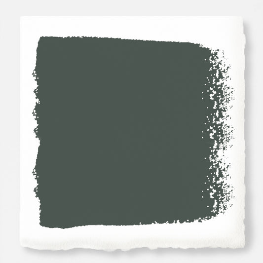 A slightly jeweled forest green hue interior paint named 1905