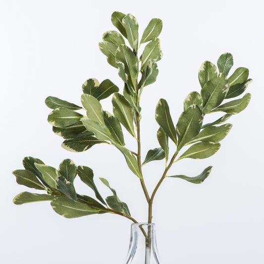 artificial pittosporum stem