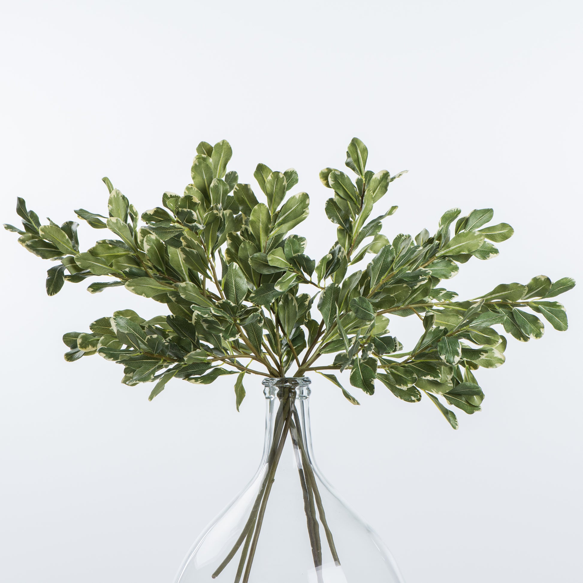 artificial pittosporum stem