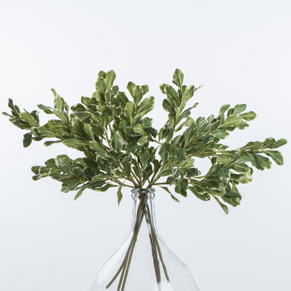 artificial pittosporum stem