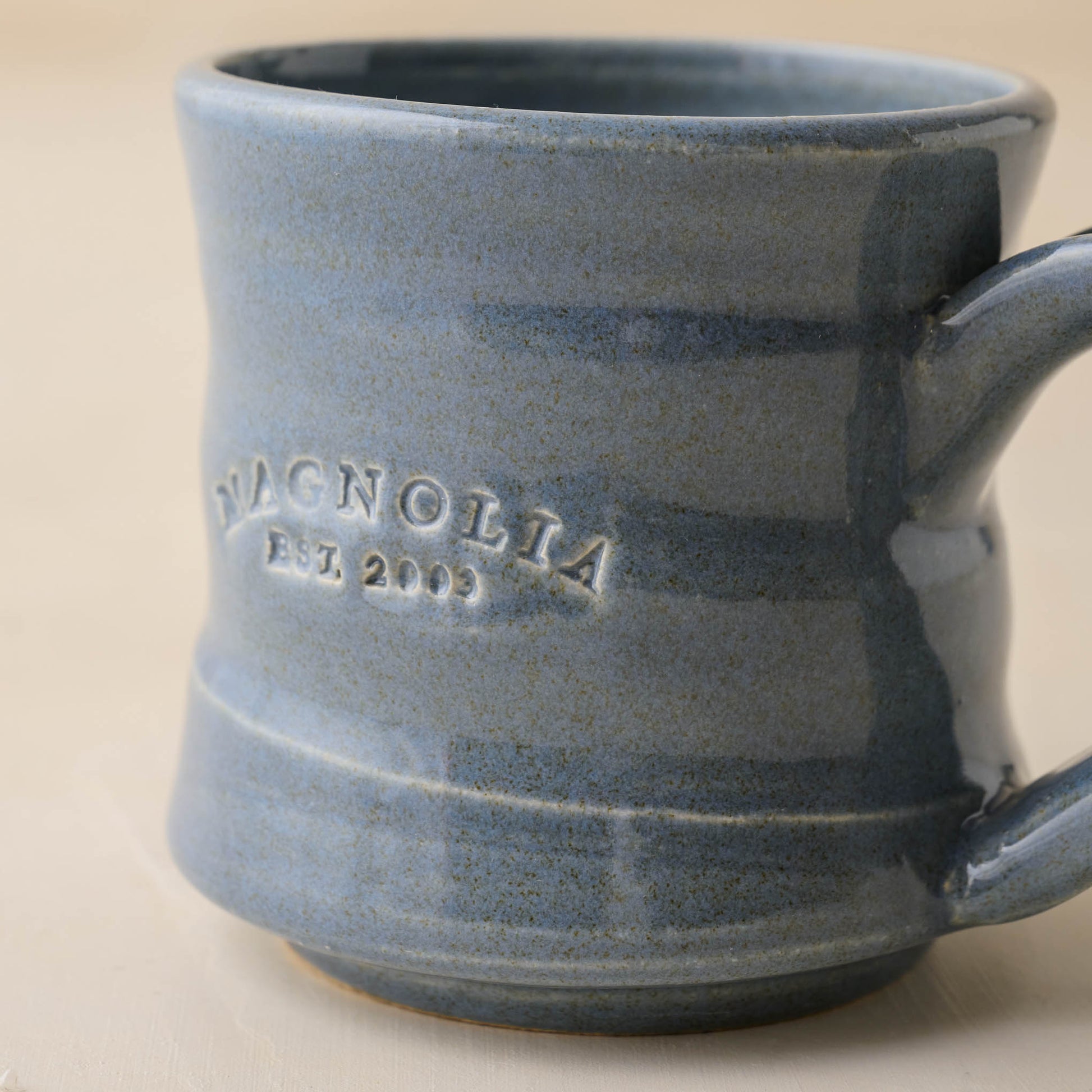 Magnolia Established Mug - Blue close up