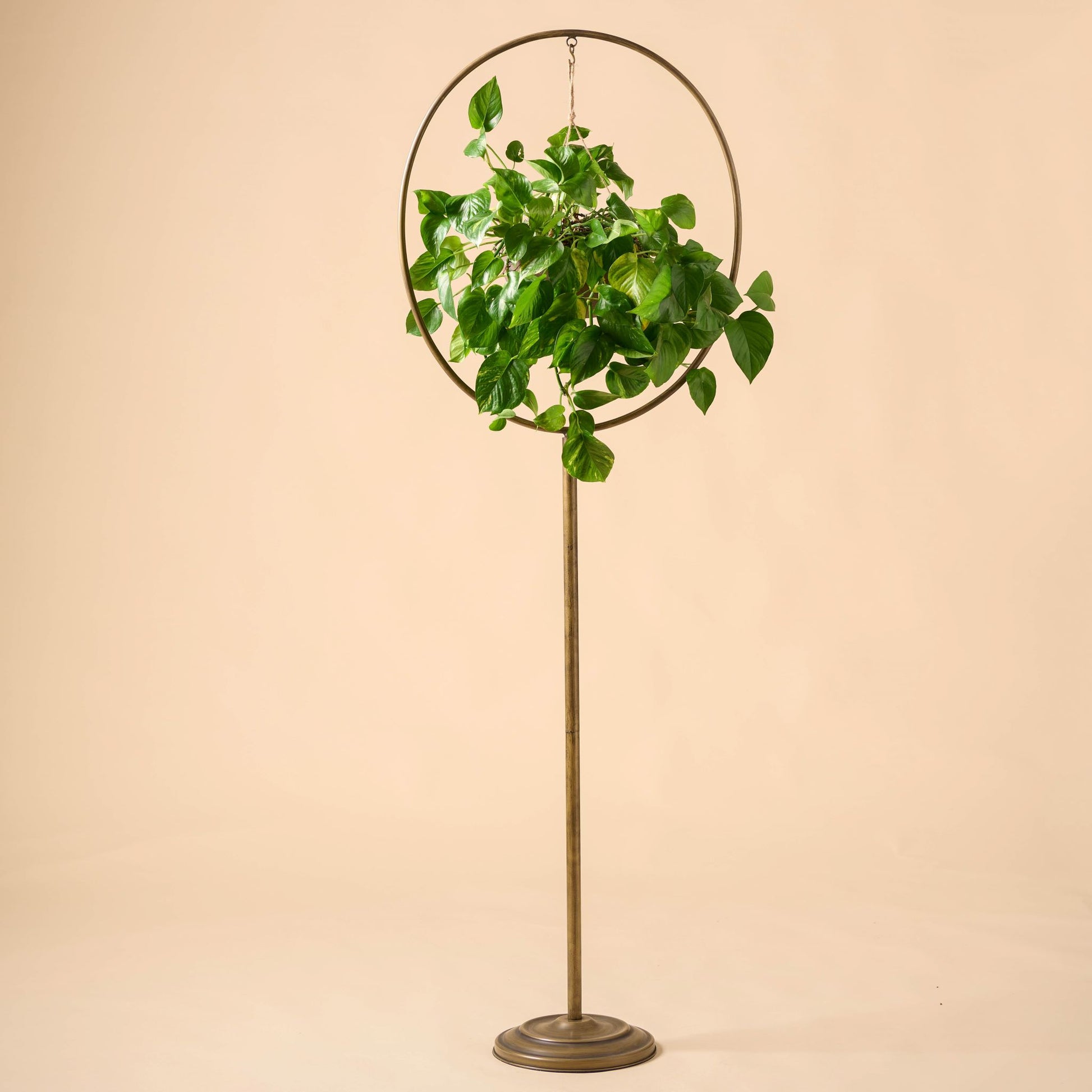 Hayden Plant Stand