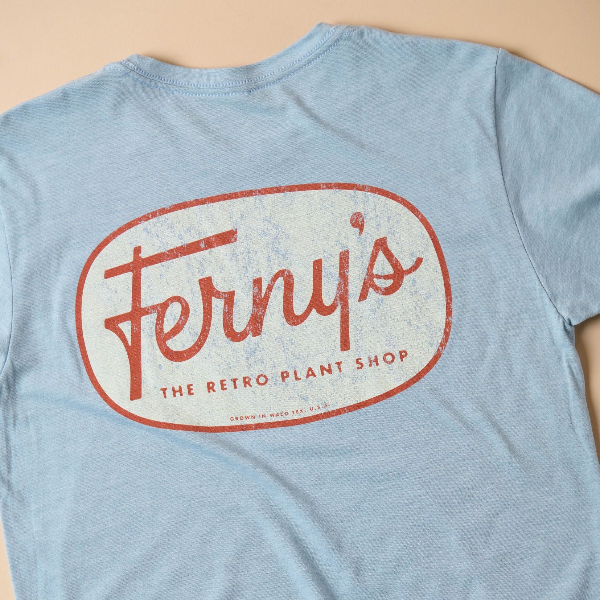 Ferny's Light Blue and Brown Graphic T-Shirt
