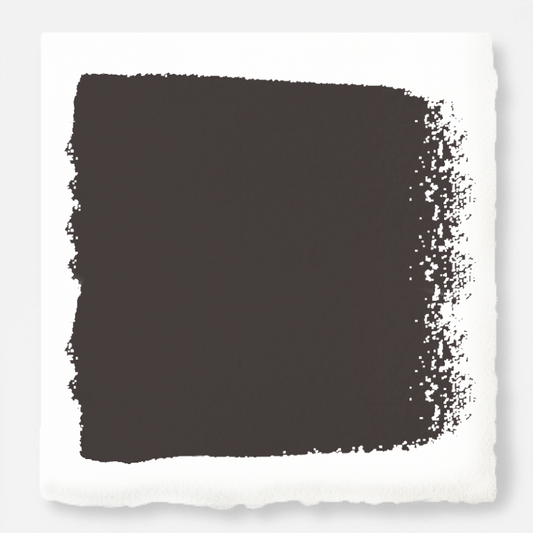 Deep brown with hazel and cocoa notes interior paint named repurpose