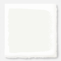 True White interior paint
