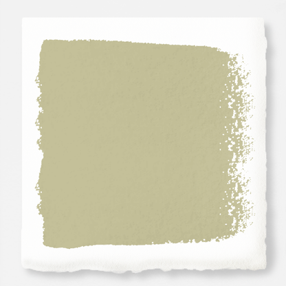 Light green yellow interior paint named sour apple