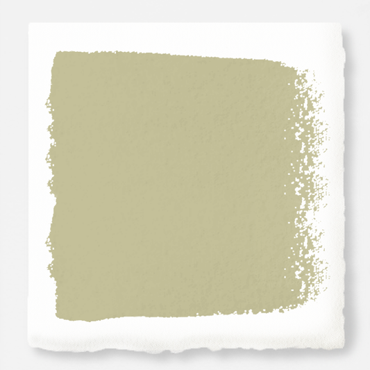 Light wasabi green interior paint