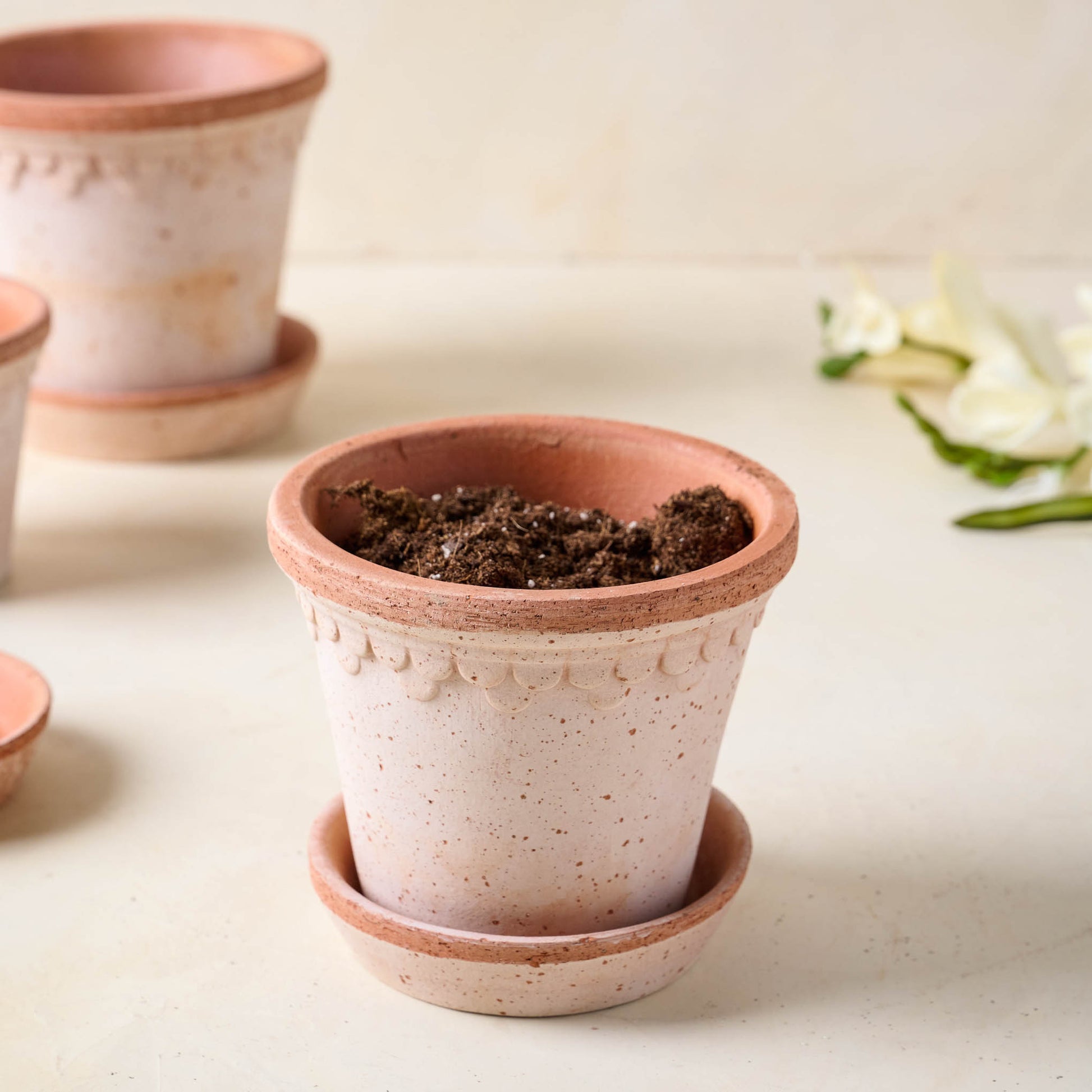 Terracotta Bergs Pot in small size with soil inside
