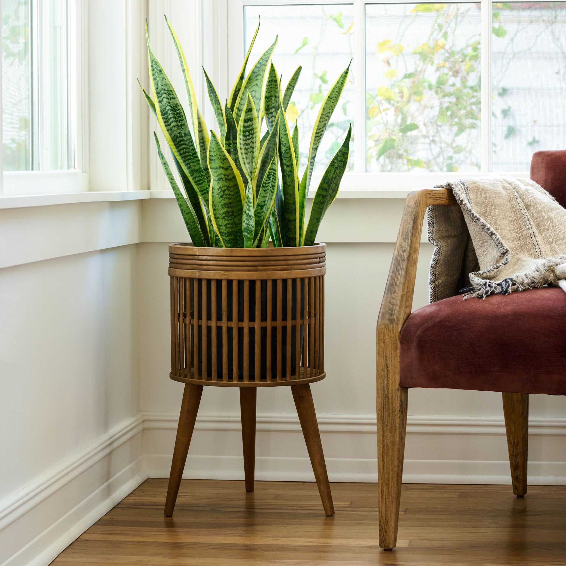 magnolia aged wood plant stand