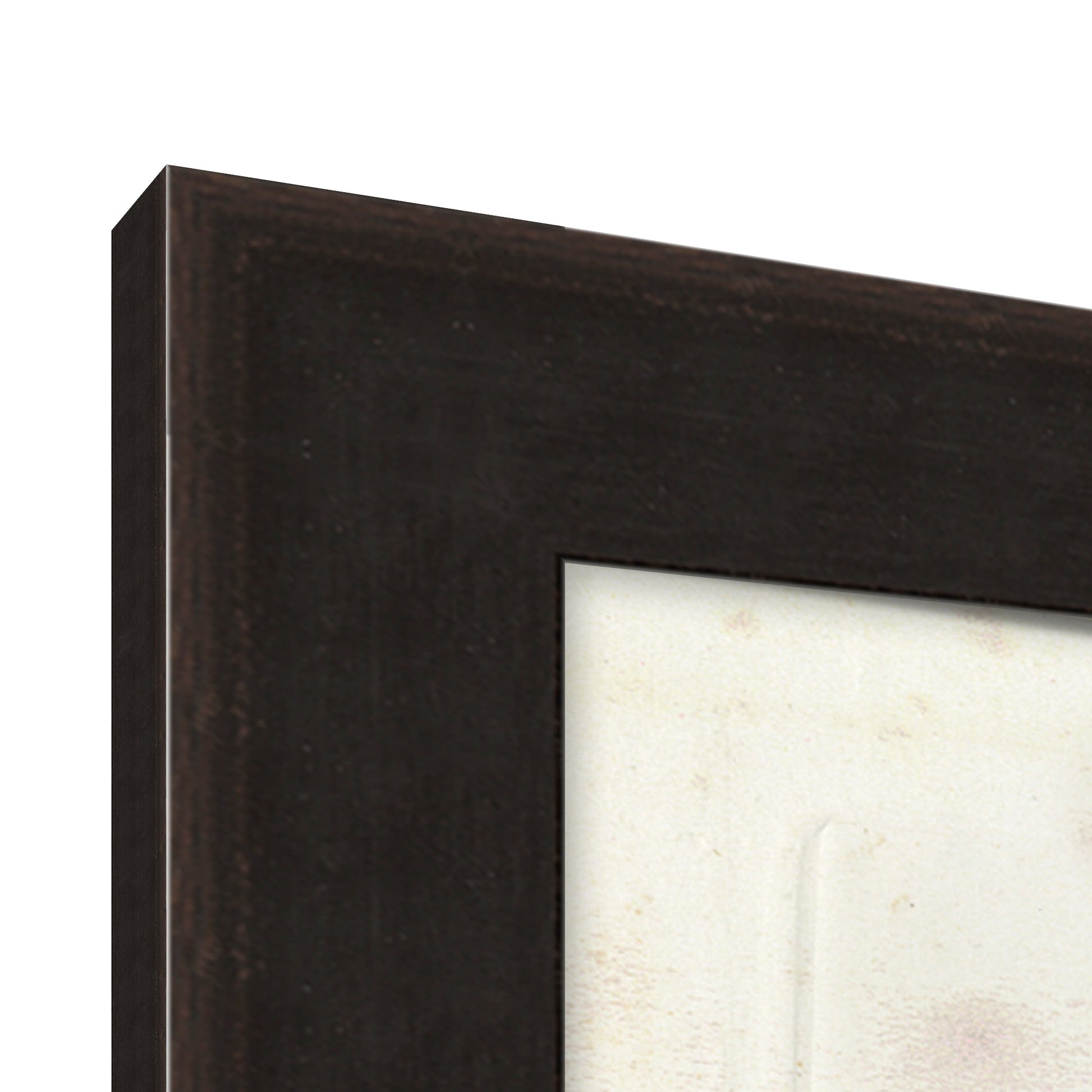 art print of preserved plants in wooden frame