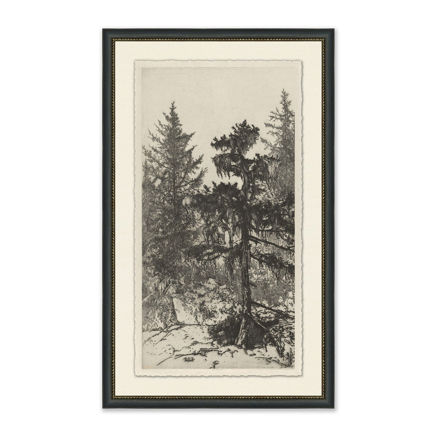 framed wall art sketch of tall trees in forest in black frame with cream mat