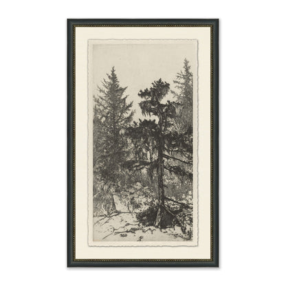 framed wall art sketch of tall trees in forest in black frame with cream mat