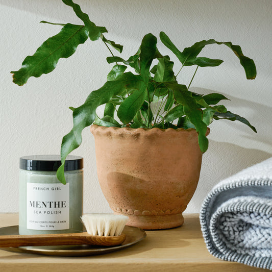 Terracotta Garden Scalloped Edge Pot