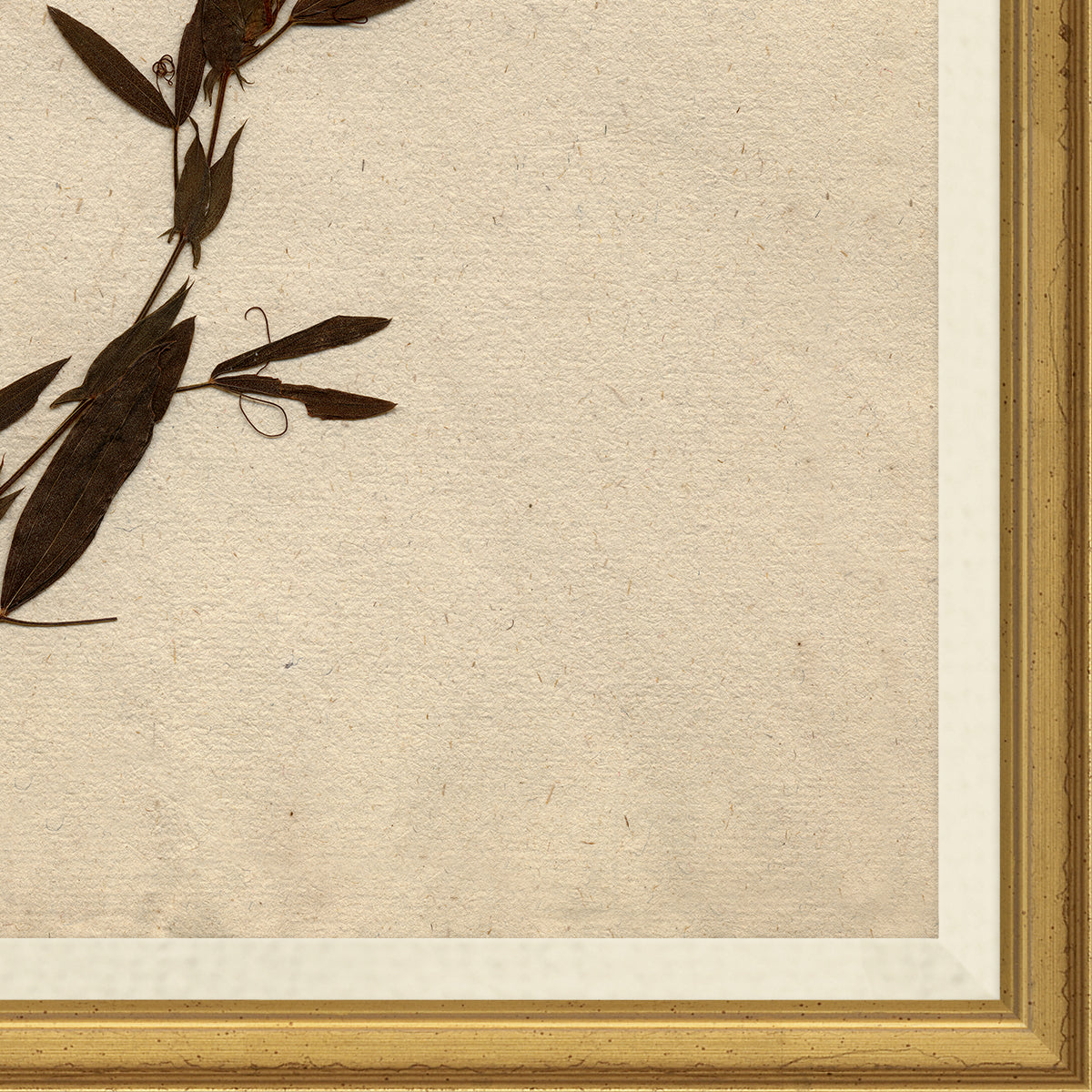 corner view of framed wall art print of preserved plants in wooden frame