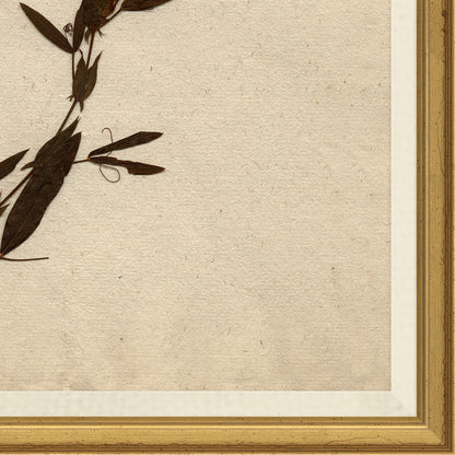 corner view of framed wall art print of preserved plants in wooden frame