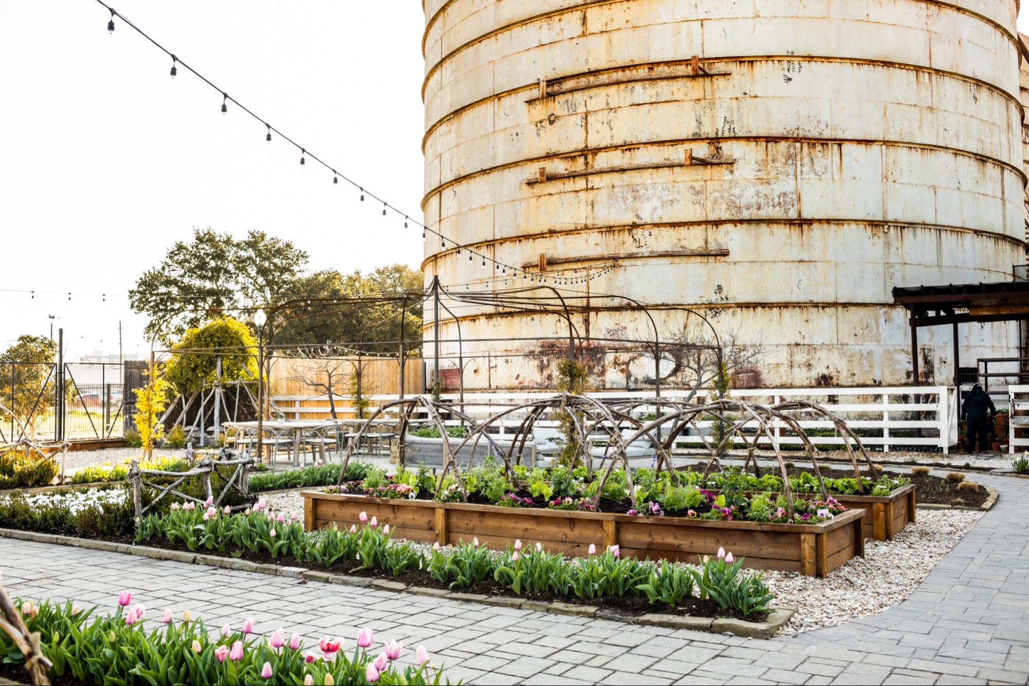 MAGNOLIA image